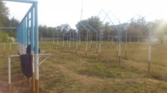 Площадка для воркаута в городе Орел №2428 Большая Советская фото